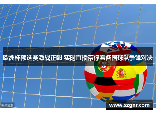 欧洲杯预选赛激战正酣 实时直播带你看各国球队争锋对决