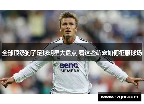 全球顶级狗子足球明星大盘点 看这些萌宠如何征服球场