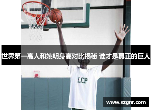 世界第一高人和姚明身高对比揭秘 谁才是真正的巨人