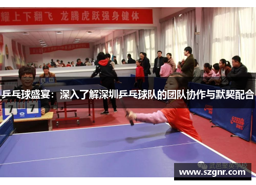 乒乓球盛宴：深入了解深圳乒乓球队的团队协作与默契配合