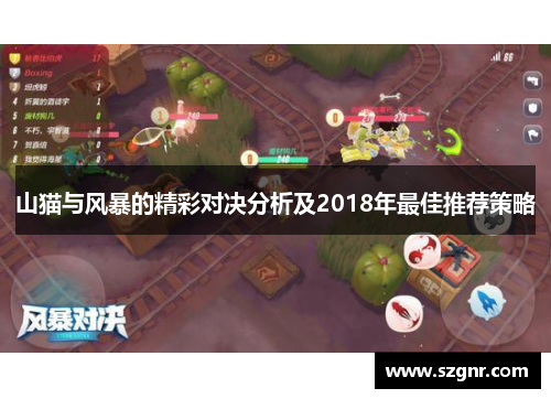 山猫与风暴的精彩对决分析及2018年最佳推荐策略
